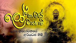 thapowanaye ariyadaja thero│මේ භවයේ ම සෝතාපන්න වෙන්න│Dharma Deshana│බුදු බණ│budu bana│nekaakaara [upl. by Mahala]