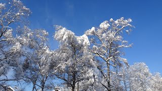 Schnee in Gröbenzell [upl. by Quenby]