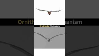 Mechanical Engineering 3D Project  Ornithopter Mechanism ❤️😍 cad solidworks project [upl. by Enirehtacyram151]