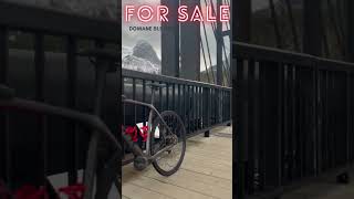 2023 Trek Domane SL5 Gen4 Ex Rental FOR SALE 249999 [upl. by Rip]