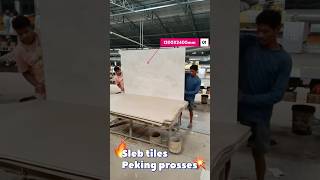 Sleb tiles Peking prosses tilesfactory tilesmanufacturing sorts viralshorts morbigujrat [upl. by Irby]