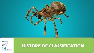 HISTORY OF CLASSIFICATION [upl. by Eanaj615]