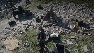 Red Dead Redemption 2  Special Miracle Tonic Pamphlet Recipe Location [upl. by Nickey]