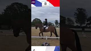 Sara Louise Bates  Hickstead FEI Para Internationals 2024 [upl. by Poock]