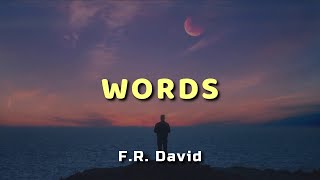 FR David  Words  Lyrics [upl. by Afesoj]