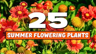 🌞 Top 25 Best SUMMER Flowering Plants 💖 MUST HAVE SUMMER BLOOMS ✨ [upl. by Eisenberg]