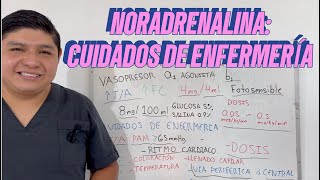 Norepinefrina  Noradrenalina y sus Cuidados de Enfermería [upl. by Joelie]