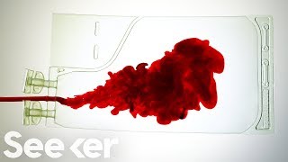 What Really Happens to Your Blood After You Donate [upl. by Assilav460]