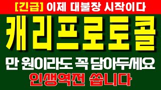 캐리프로토콜 만 원이라도 꼭 담아두세요 인생역전 쏩니다 캐리프로토콜코인캐리프로토콜코인전망 [upl. by Frayda]