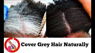 How To Turn White Or Grey Hair Into Black Naturally With No Chemicals Natural Hair Dye Step By Step [upl. by Panaggio]