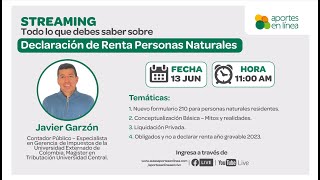 Declaración de Renta Personas Naturales [upl. by Aerdnac]