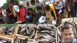 ghazipur mandi rohu fish wholesale market rate today 2024 Ghazipur machhali Mandi Delhi fish market [upl. by Hniv]