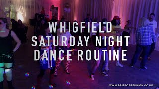 Remember the 1990s Whigfield Saturday Night Dance Routine [upl. by Wiley]