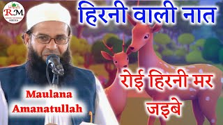 हिरनी वाली नातMaulana Amanatullah NanparviMadarsa Arbiya Masoodiya Ziyaul Uloom TaajPur Bahraich [upl. by Arrahs902]