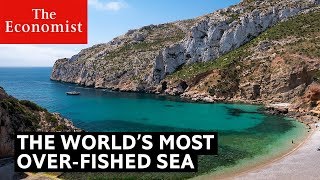 This is the most overfished sea in the world [upl. by Aivek]