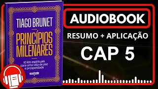 AudioBook  Princípios Milenares  Capítulo 5 Resumo do Livro resumodelivros audiobook [upl. by Hnacogn]