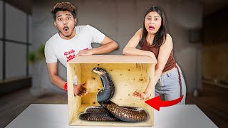 Whats in the BOX Challenge With Nishu  Live Animals [upl. by Savell]