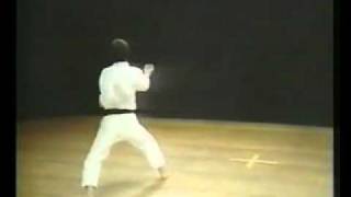 كاراتيه كاتا  كانكو شو  Kanku Sho  Shotokan Karate [upl. by Aracal]