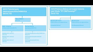 Presentazione del MAS Fisioterapia muscoloscheletrica [upl. by Aisatsan]