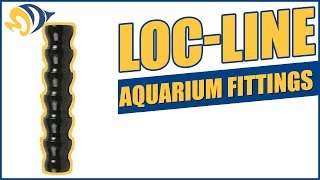 LocLine Aquarium Fittings Product Demo [upl. by Castle]