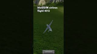 Monnerat airlines crash [upl. by Nelg437]