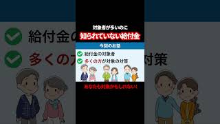 【定額減税】5万円の給付金！絶対に申請して！ お金年金給付金 [upl. by Akcinat394]