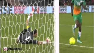 Egypte vs Ivory Coast 24 Highlights 14012013 [upl. by Nils]