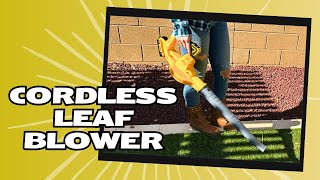 Favoic Cordless Leaf Blower [upl. by Marl560]