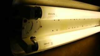 Philips TRK with 2x TLS 20 watt tubes Fluorescent street light [upl. by Adnerad]