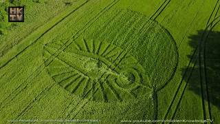 2017 Crop Circle at The Cerne Giant Dorset  Reported May 22nd [upl. by Akinat]