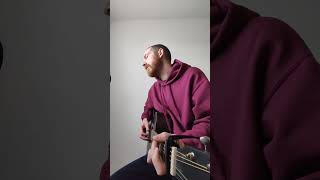 Praise you  Fat Boy Slim Guitar Cover shorts fingerstyle music [upl. by Drahcir]