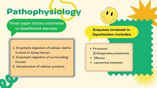 Coagulative vs Liquefactive necrosis [upl. by Eseeryt198]