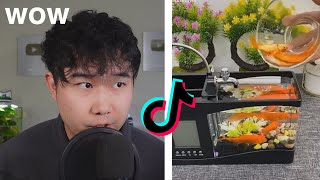 Fish keeper REACTS to TIKTOK FISH TANKS  Fish Tank Review 155 [upl. by Fiske]