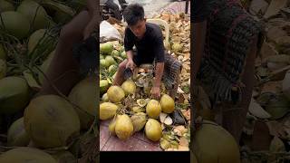 Only 1 Cambodian Coconut Cutting Skills  Fruit Cutting Skills [upl. by Vena]