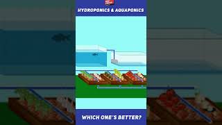 Hydroponics vs Aquaponics hydroponicsaquaponicsfurture of farming smartfarmingfarming [upl. by Airol87]