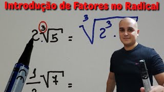 Introdução de fatores no radical [upl. by Cottrell823]