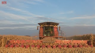 3000 Acre Corn Field Harvested by CASE IH 9250 Combines [upl. by Elburr]