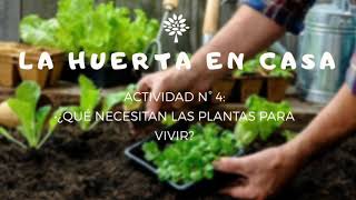 ¿QUÉ NECESITAN LAS PLANTAS PARA VIVIR NIVEL INICIAL [upl. by Imeaj122]