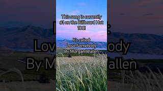 Morgan Wallen  Love Somebody morganwallen countrymusic [upl. by Sylado585]