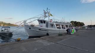 Skiathos Town Harbour and Main Street June 2023 [upl. by Agiaf]