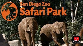 Safari Park Elephant Valley Update July 2024 [upl. by Paza149]