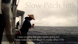 Slow pitch jigging Japanese Anglers Secrets [upl. by Casmey]