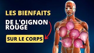 Les bienfaits insoupçonnés de loignon rouge sur lorganisme [upl. by Nylekoorb474]