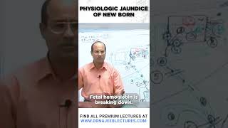 Physiologic Jaundice of New Born [upl. by Nylhsa652]