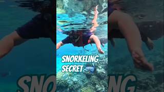 I Snorkeled with Sharks in the Maldives 🐠🔍 shortfeed viralshorts [upl. by Nari698]