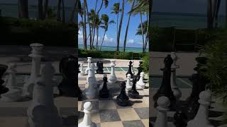 Full Day in Bávaro Palace 🔥 NEW VIDEO coming this week beach puntacana youtubeshorts newvideo [upl. by Ellersick]