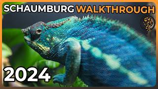 The Full Schaumburg NARBC 2024 Reptile Expo Walkthrough [upl. by Reemas]