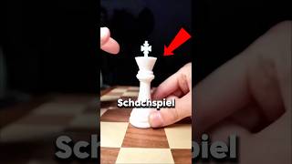 Hier ist das beste Schach der Welt 😱 [upl. by Jepum]