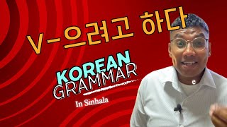 V 으려고 하다  grammar in sinhala [upl. by Isyak]