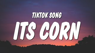 its corn kid tiktok song Lyrics  its corn a big lump with knobs it has the juice [upl. by Bandler950]